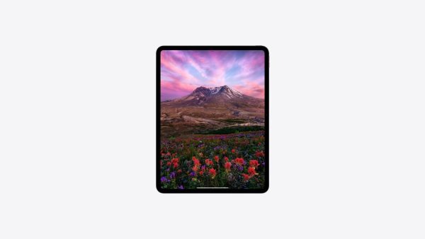 Apple iPad Pro (M4 Chip) WiFi with Standard Glass - Image 3
